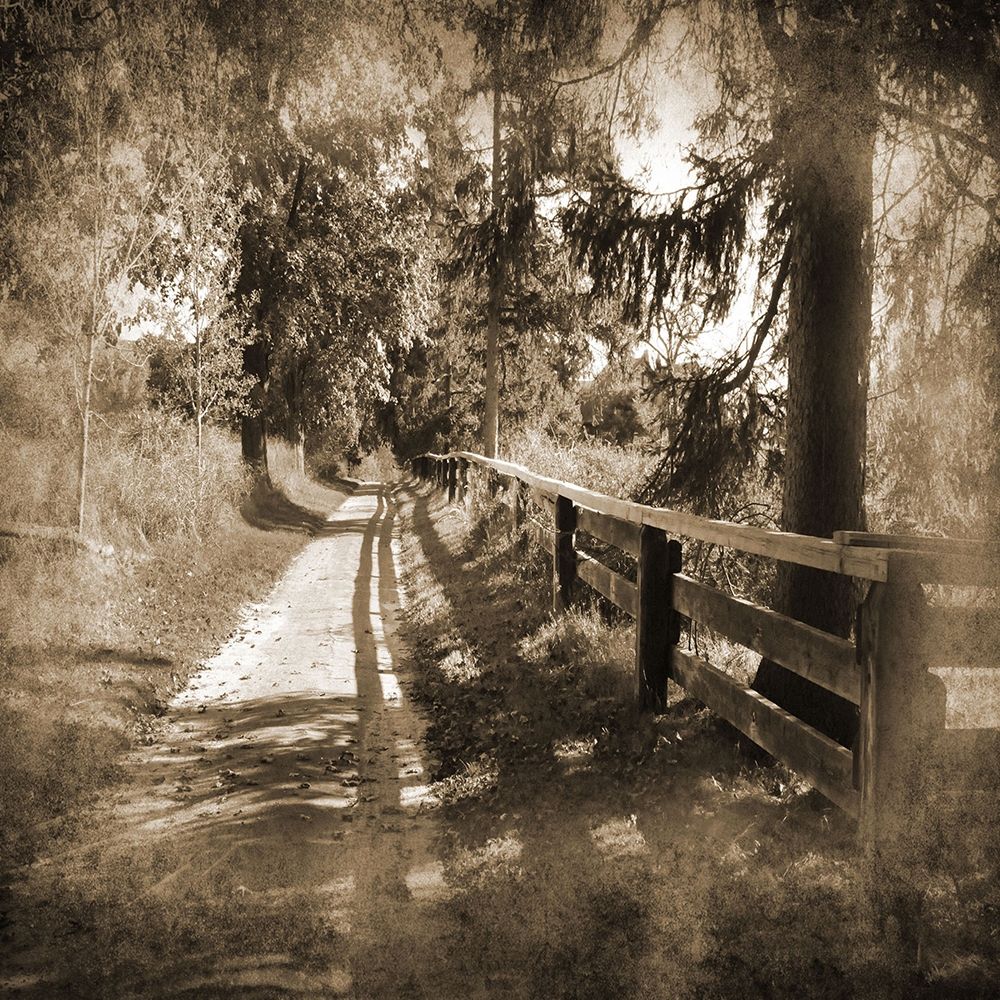 Dirt Road art print by Suzanne Foschino for $57.95 CAD