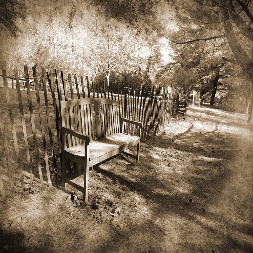 Park Bench art print by Suzanne Foschino for $57.95 CAD