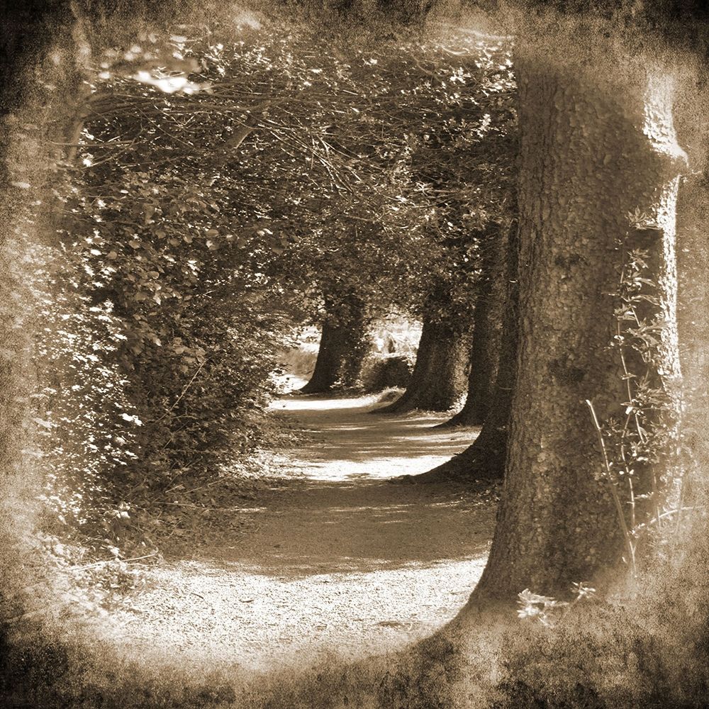 Wicklow Tree Line 1 art print by Suzanne Foschino for $57.95 CAD