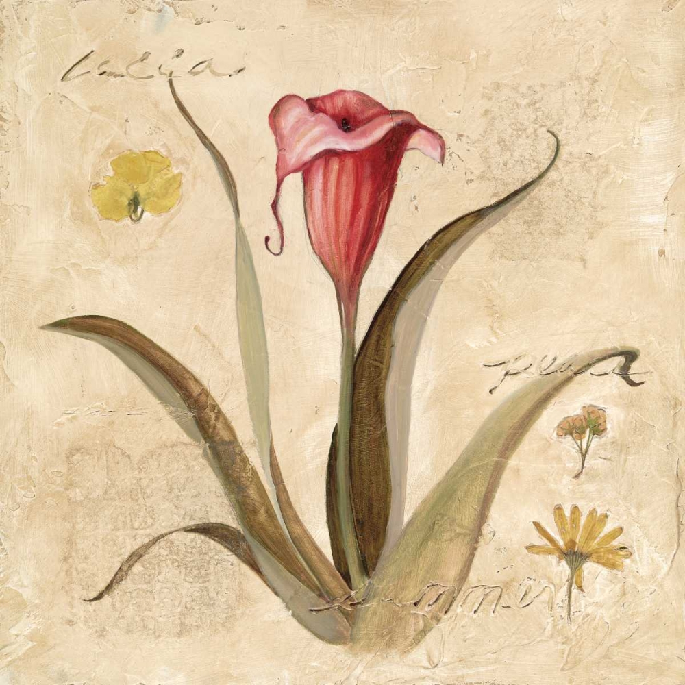Red Calla Lily art print by Carol Robinson for $57.95 CAD