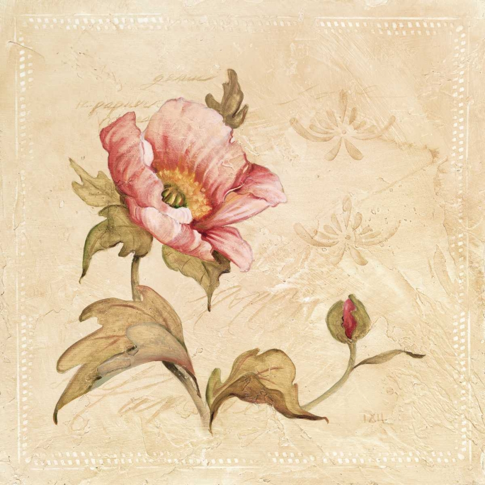 Perfect Peony I art print by Carol Robinson for $57.95 CAD