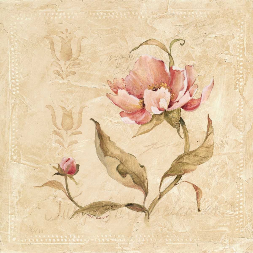 Perfect Peony II art print by Carol Robinson for $57.95 CAD