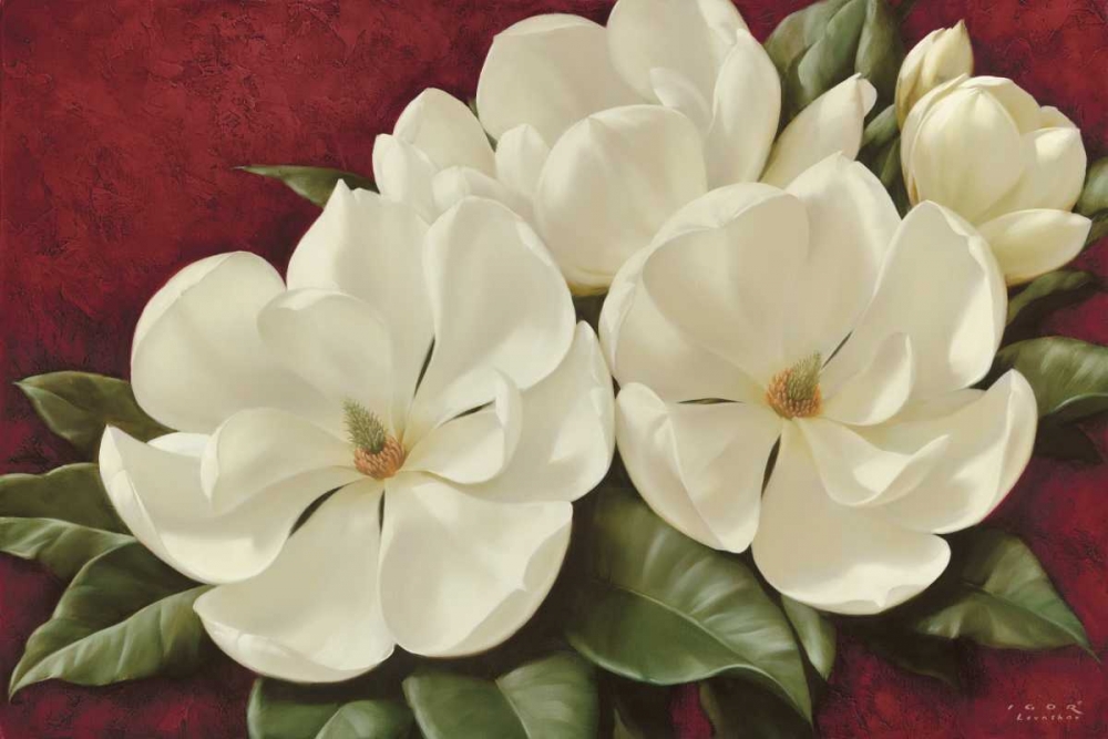 Magnolia II art print by Igor Levashov for $57.95 CAD
