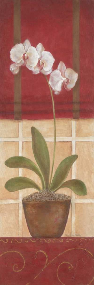 Window Wonders II art print by Tava Studios for $57.95 CAD