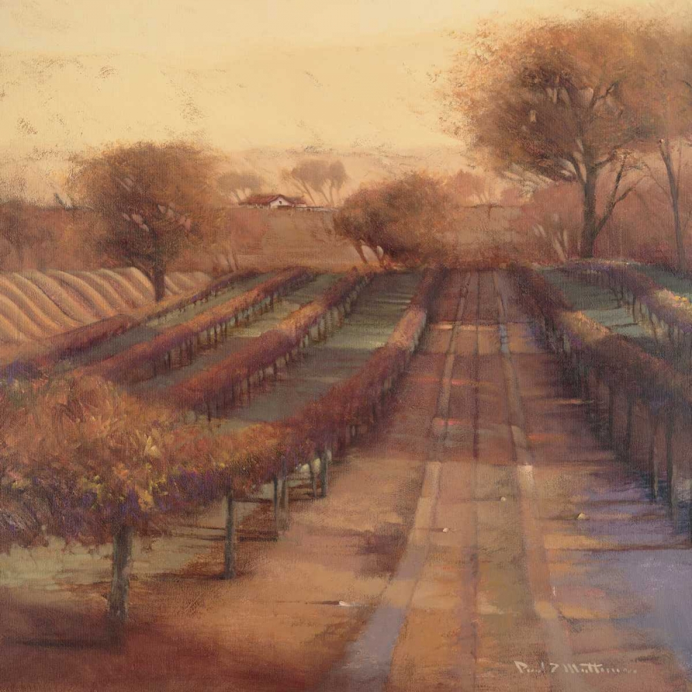 Vineyard Vista art print by Paul Mathenia for $57.95 CAD