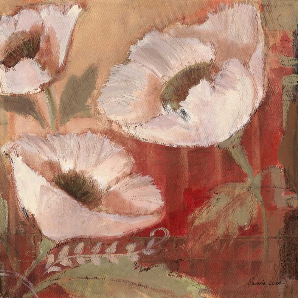Amapola Blanc II art print by Pamela Luer for $57.95 CAD
