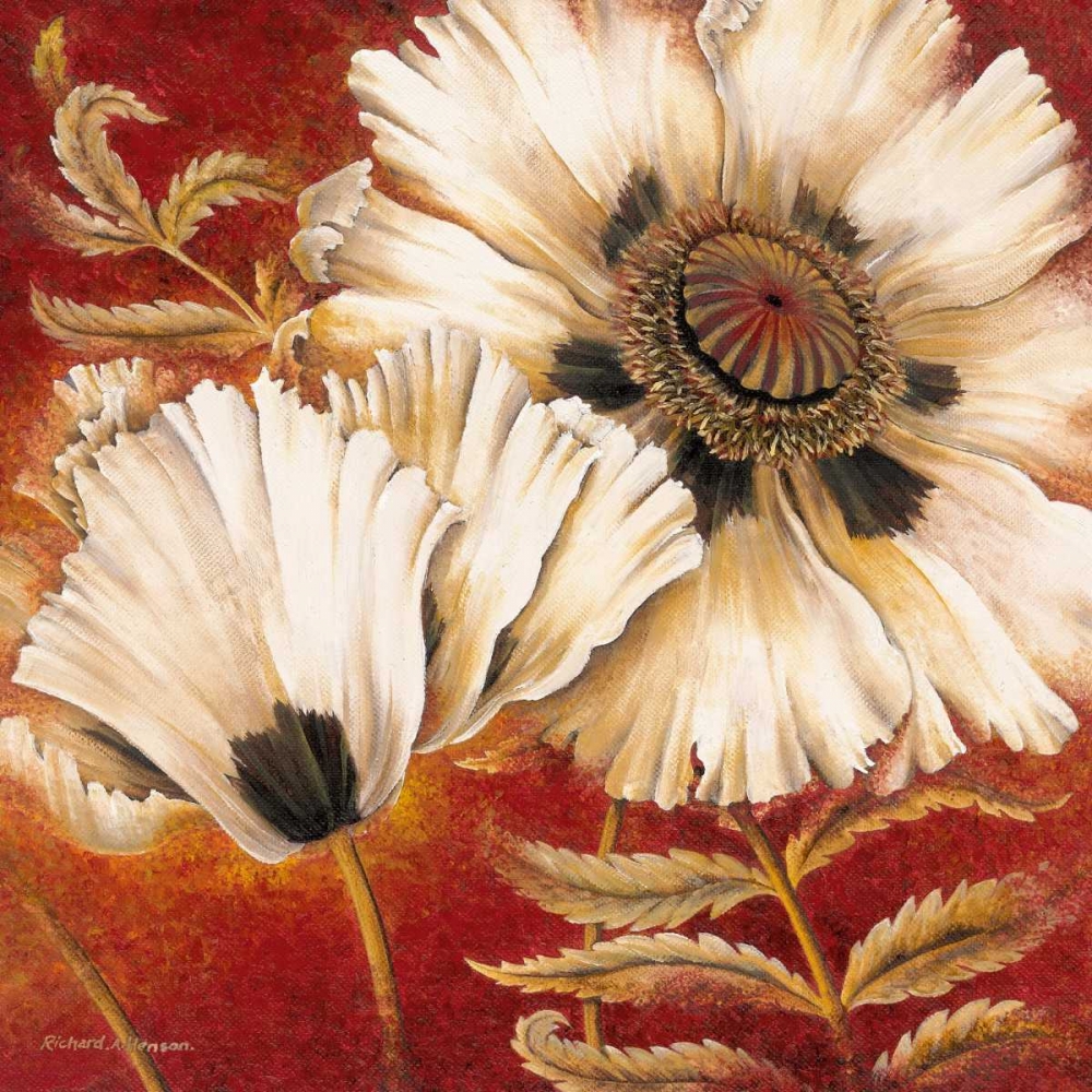 White Poppy art print by Richard Henson for $57.95 CAD