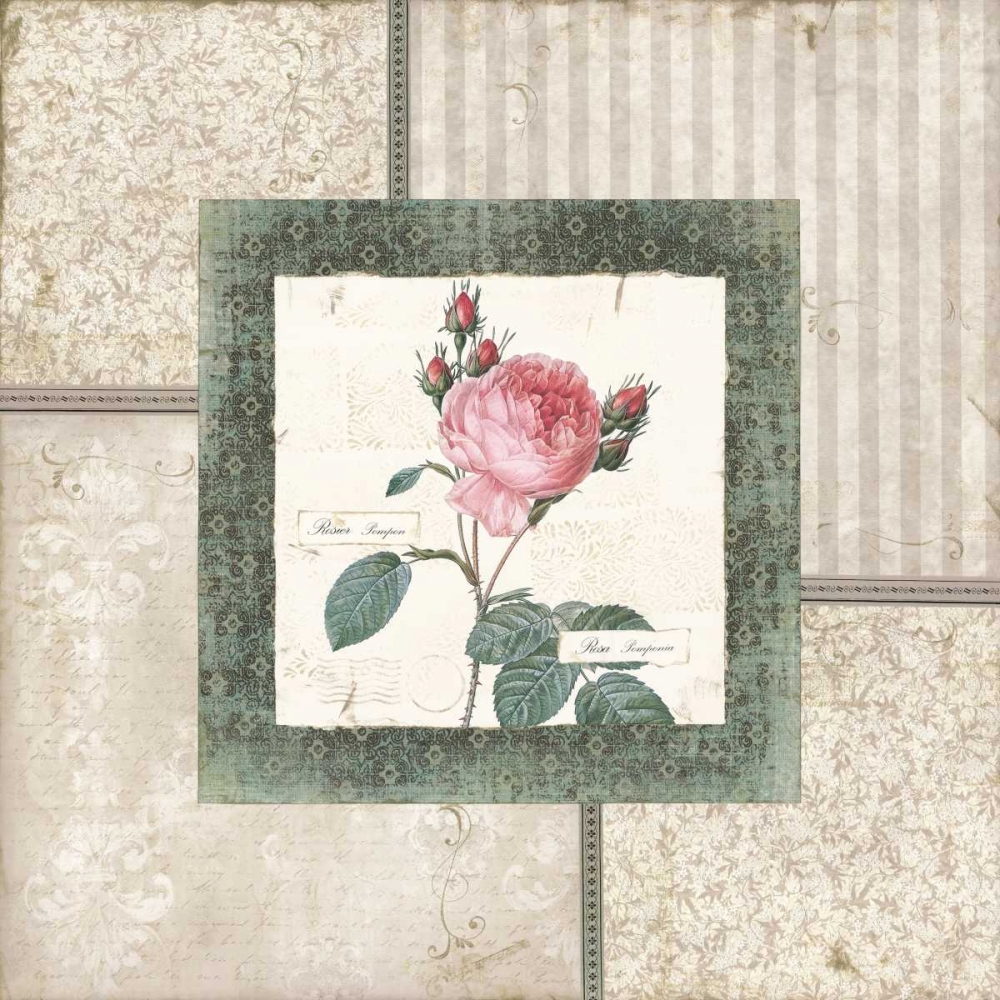 Rosa I art print by Carol Robinson for $57.95 CAD