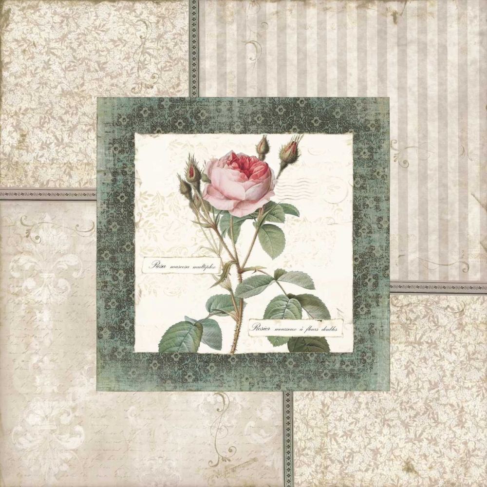 Rosa II art print by Carol Robinson for $57.95 CAD