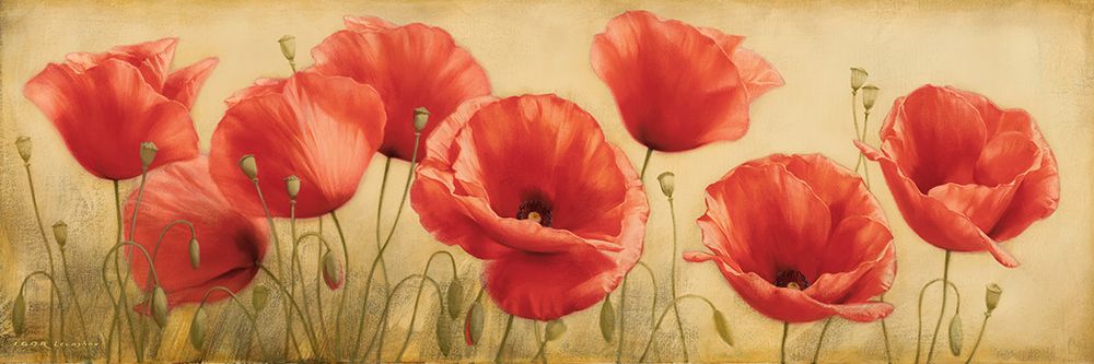 Poppies Grace I art print by Igor Levashov for $57.95 CAD