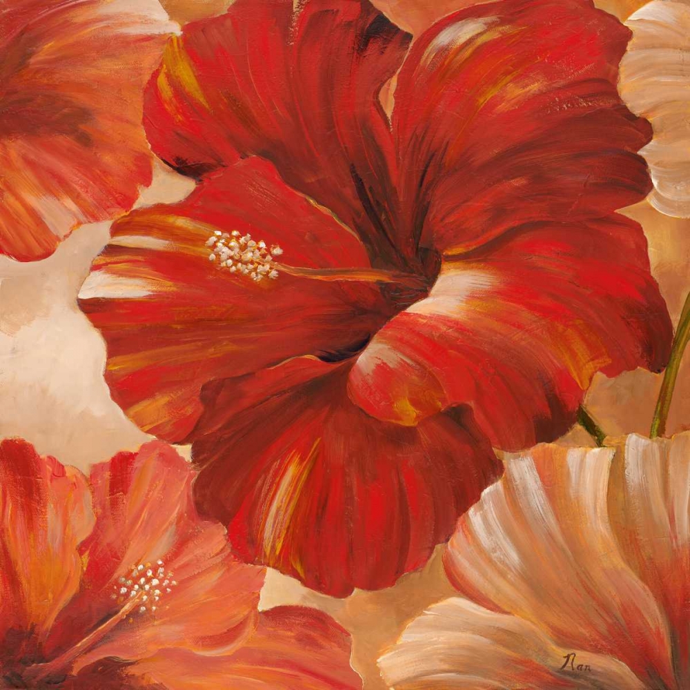 Sunlit Bloom II art print by Nan for $57.95 CAD