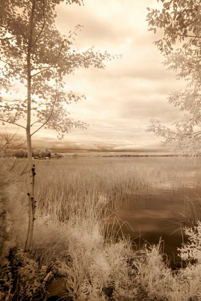 Peaceful Morning I art print by Monte Nagler for $57.95 CAD