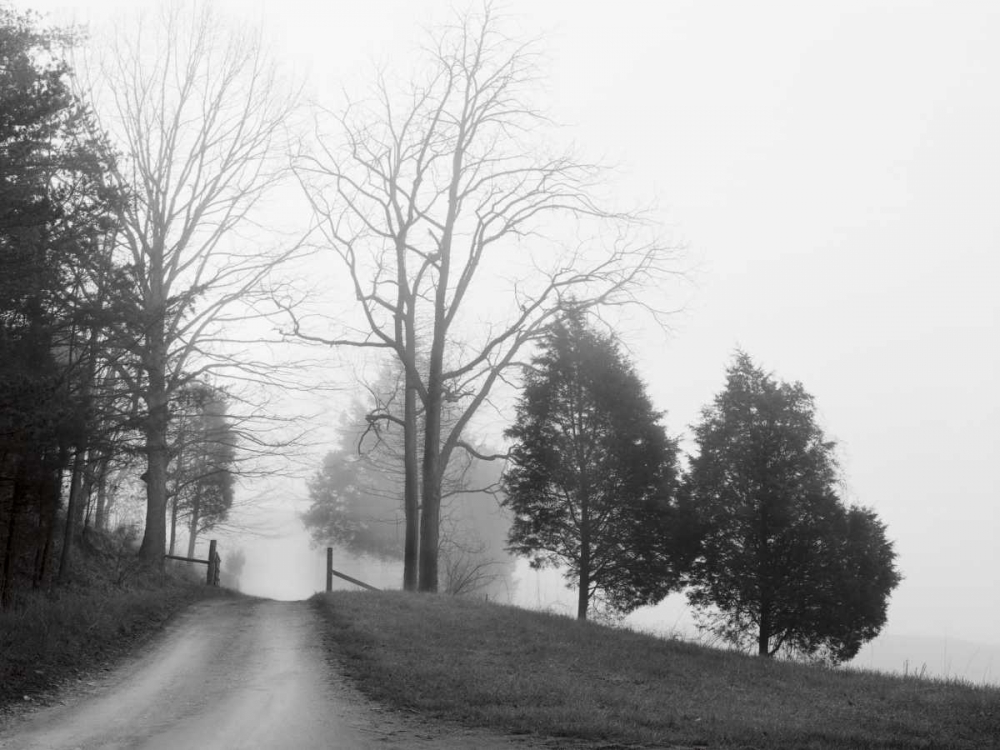 Tennessee Morning art print by Monte Nagler for $57.95 CAD