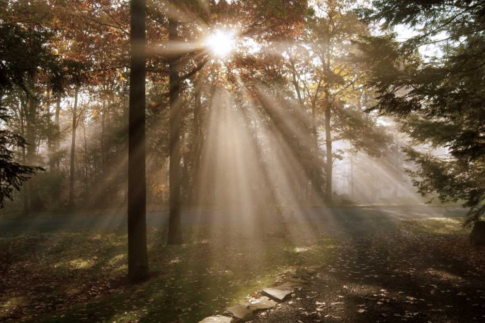 A New Day I art print by Ann Dahlgren for $57.95 CAD