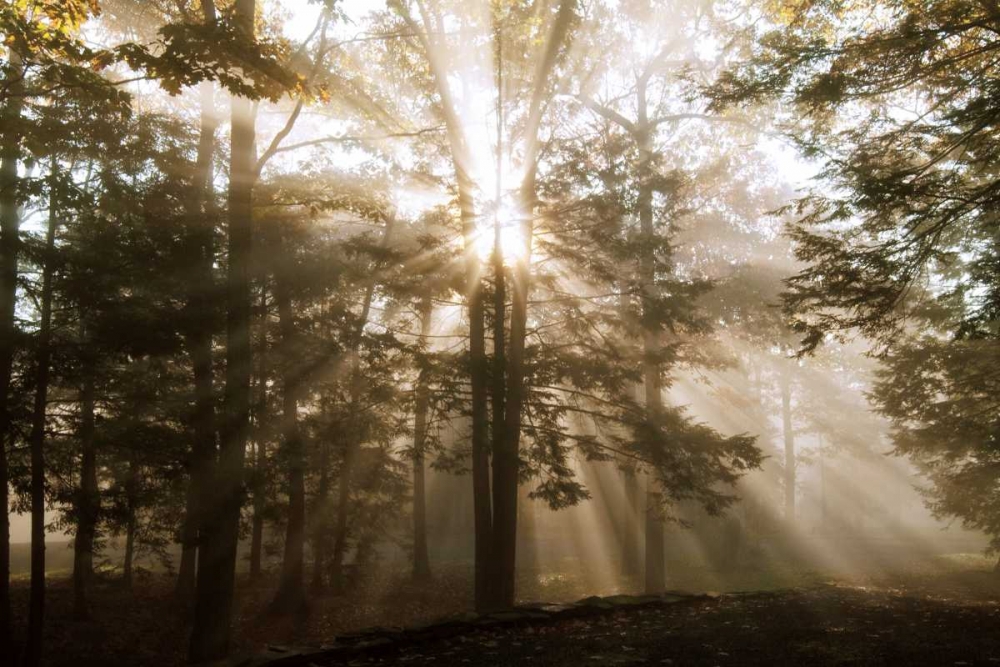 A New Day II art print by Ann Dahlgren for $57.95 CAD