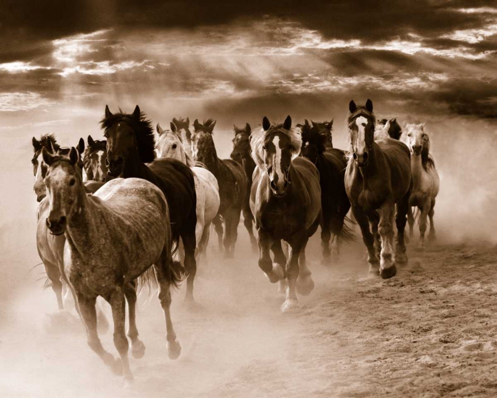 Running Horses art print by Monte Nagler for $57.95 CAD