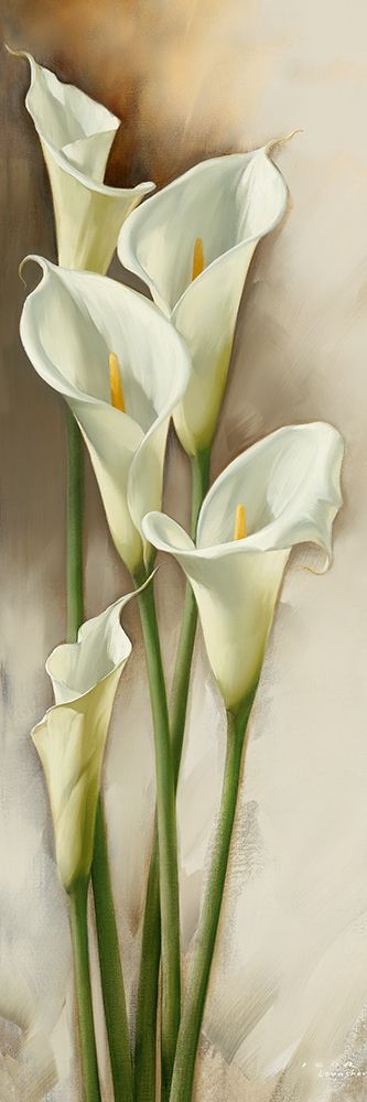 Callas Gracieux I art print by Igor Levashov for $57.95 CAD