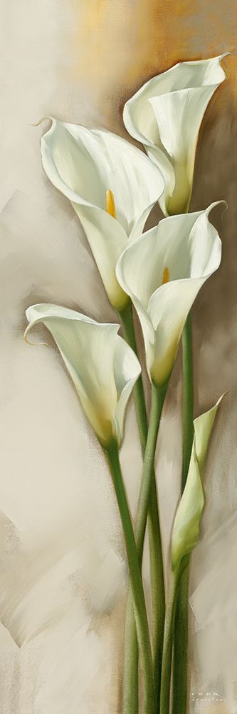 Callas Gracieux II art print by Igor Levashov for $57.95 CAD