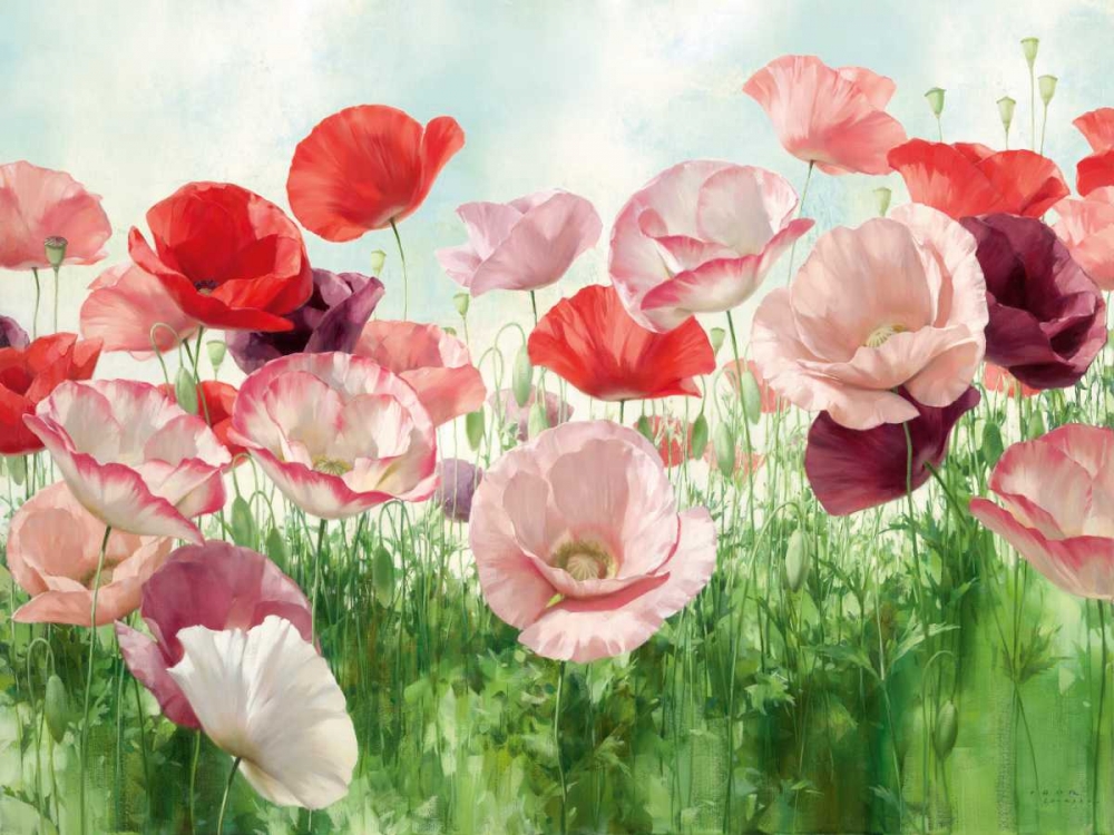 Poppies Pleasure art print by Igor Levashov for $57.95 CAD