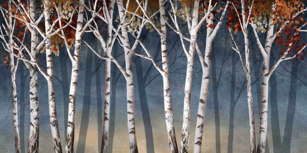 Birch Shadows art print by Conrad Knutsen for $57.95 CAD