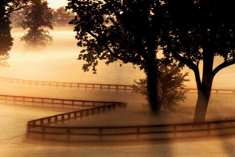 Kentucky Morning art print by Danita Delimont for $57.95 CAD