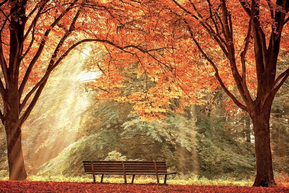 Sun Never Set art print by Lars Van de Goor for $57.95 CAD