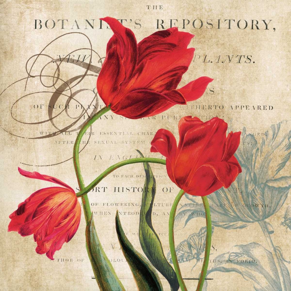Botanists art print by Carol Robinson for $57.95 CAD