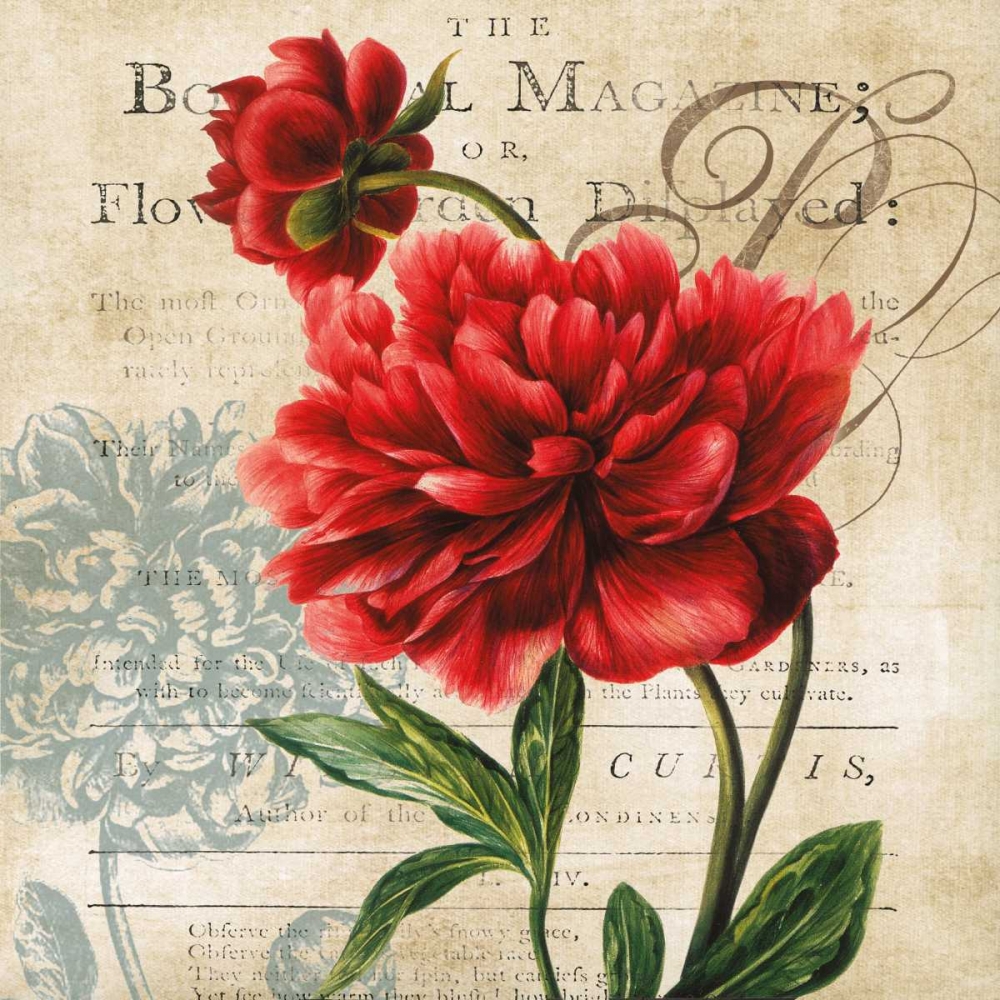 The Botanical art print by Carol Robinson for $57.95 CAD