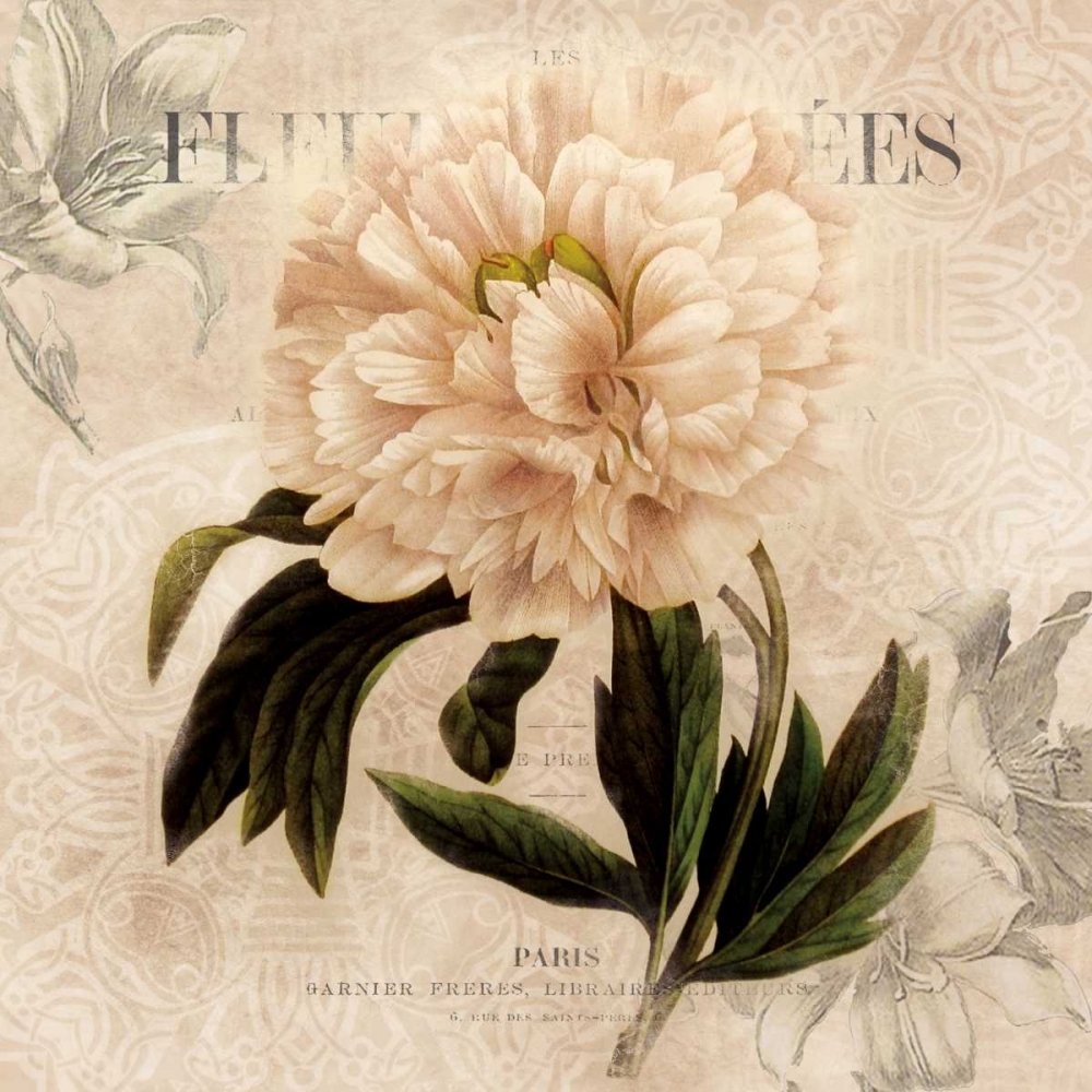 White Peony II art print by Carol Robinson for $57.95 CAD