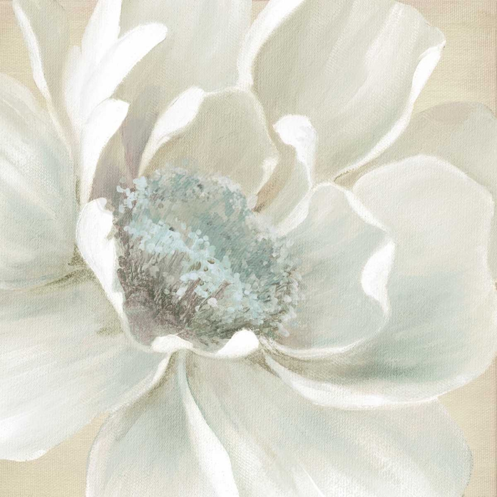 Winter Blooms I art print by Carol Robinson for $57.95 CAD