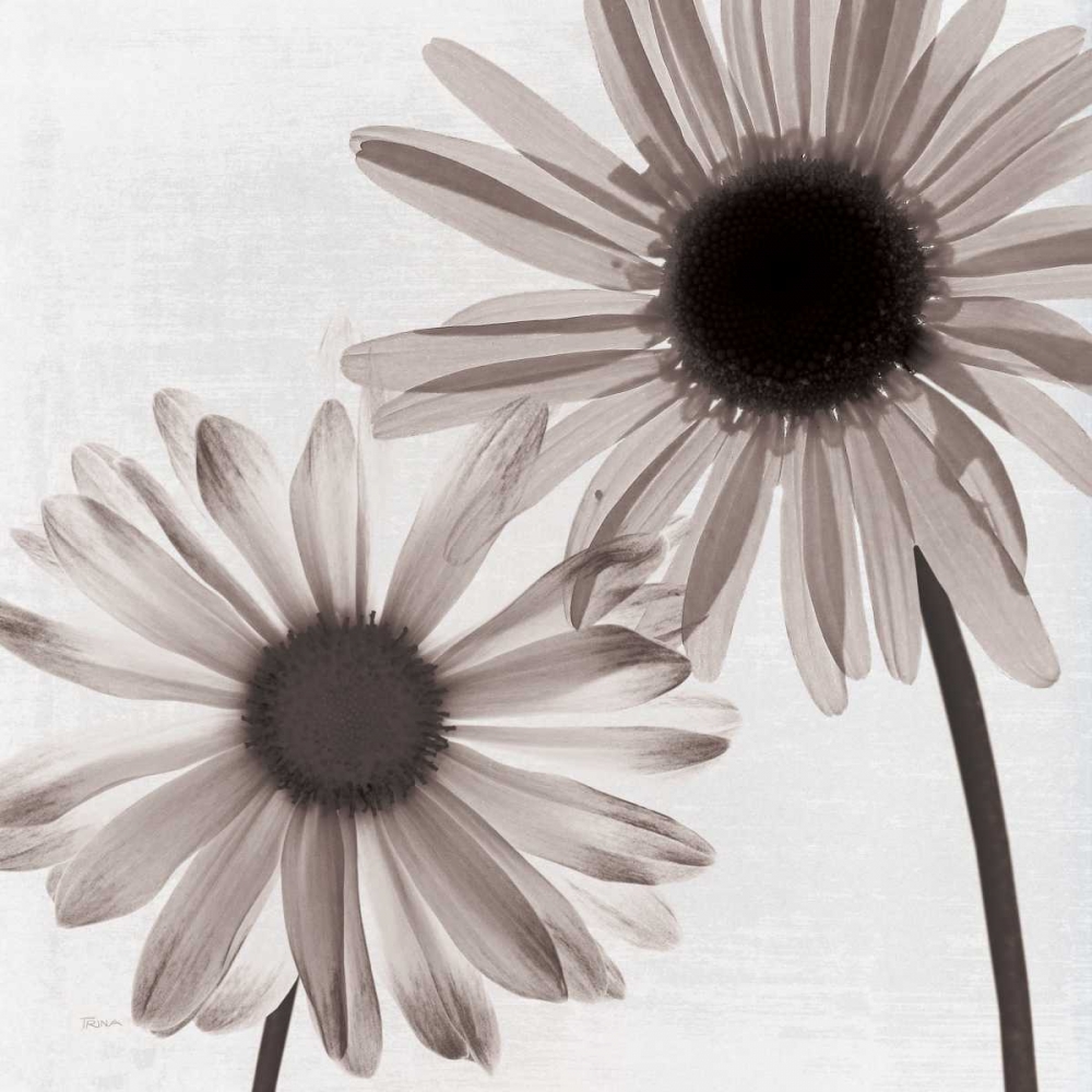 Takes Two IV art print by Katrina Craven for $57.95 CAD
