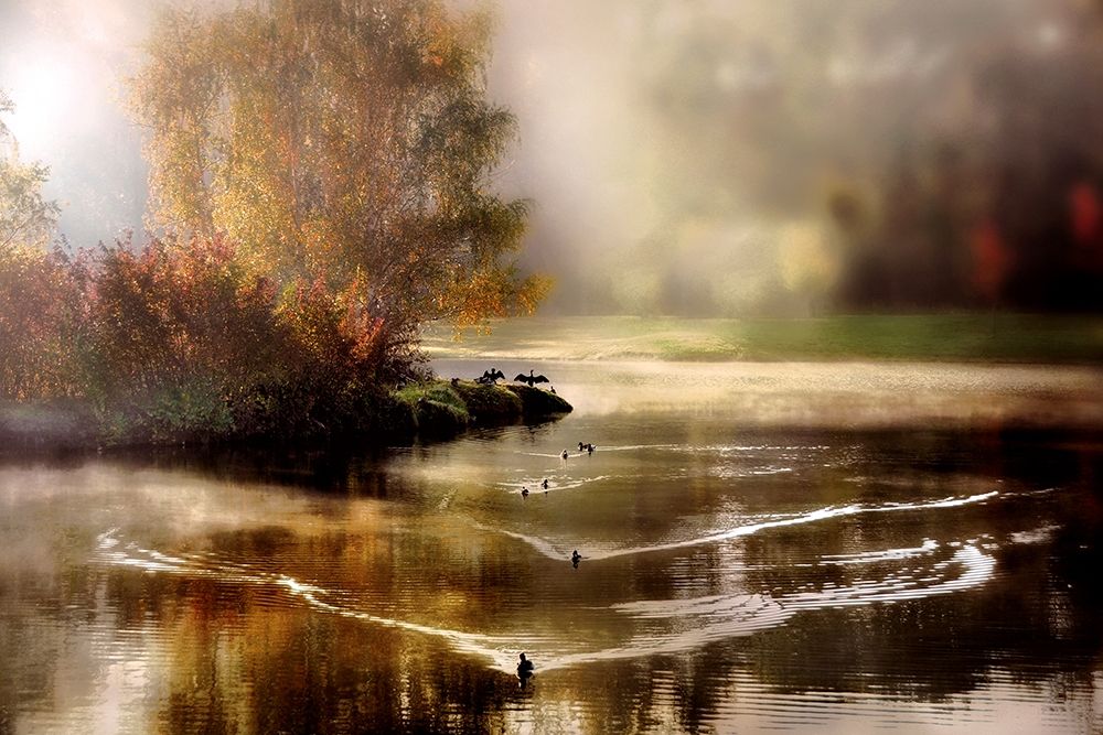 Morning Solace art print by Irene Weisz for $57.95 CAD