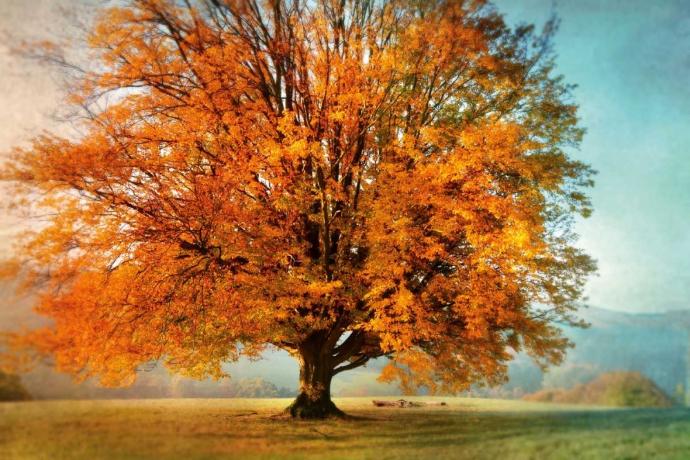 Autumns Passion art print by Irene Weisz for $57.95 CAD