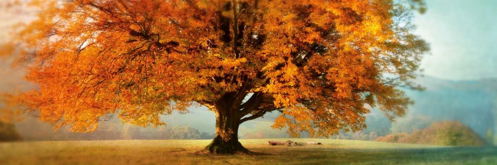 Autumn Emotion art print by Irene Weisz for $57.95 CAD