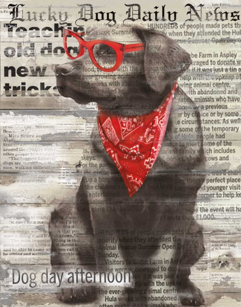 Lucky Dog art print by Carol Robinson for $57.95 CAD