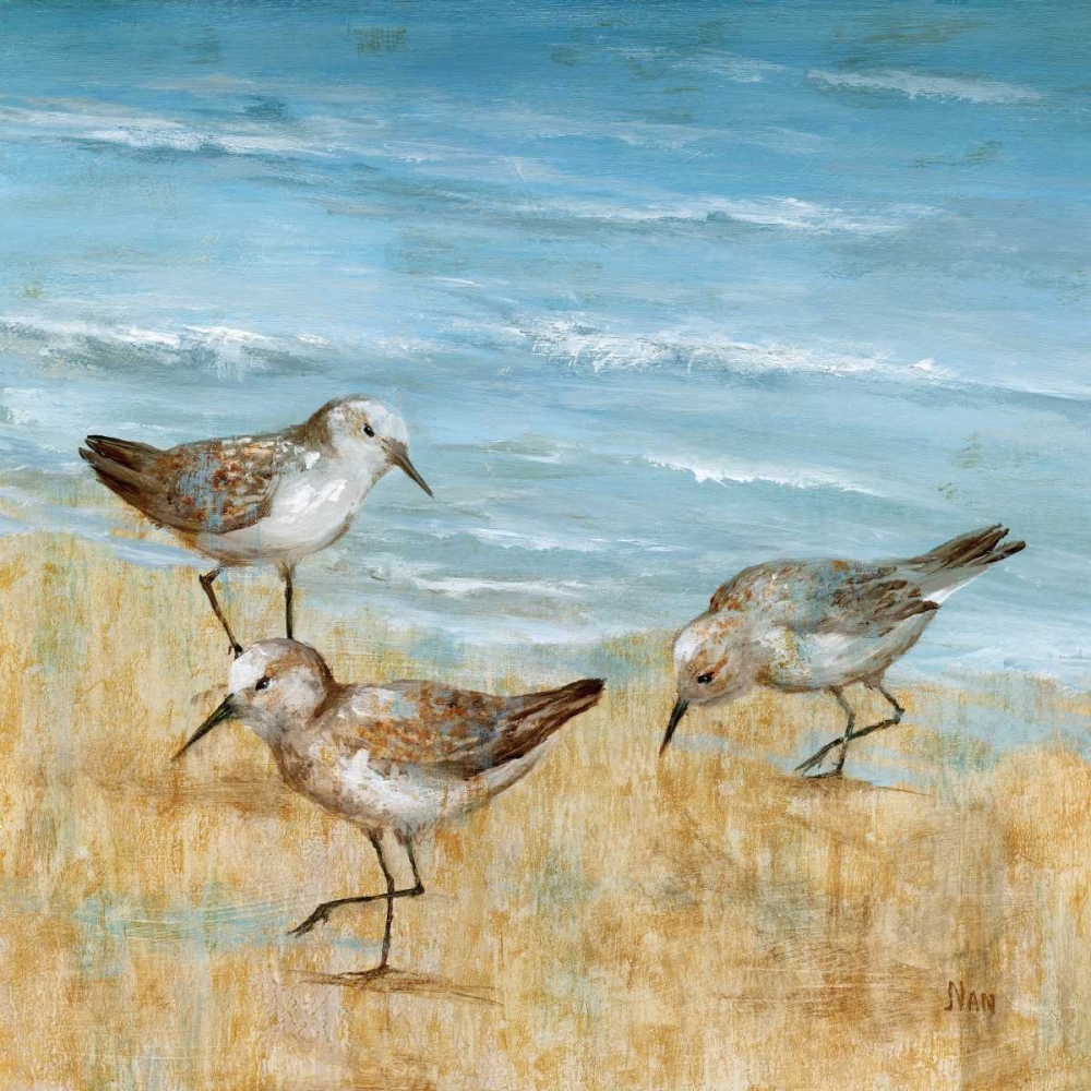 Sandpipers II art print by Nan for $57.95 CAD