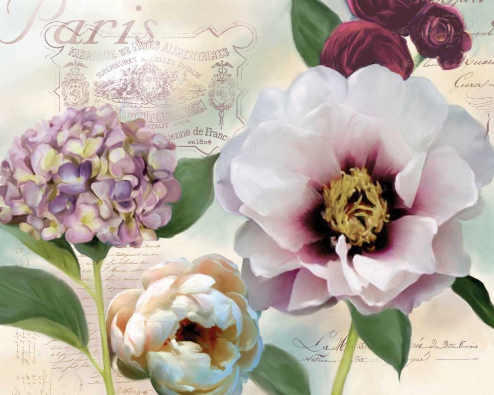 Soft Petals I art print by Carol Robinson for $57.95 CAD