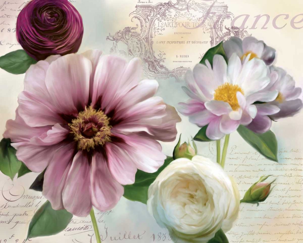Soft Petals II art print by Carol Robinson for $57.95 CAD