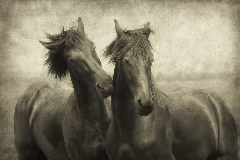 Horses Dont Whisper art print by Lars Van de Goor for $57.95 CAD