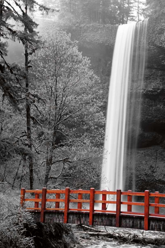 Silver Falls art print by Danita Delimont for $57.95 CAD