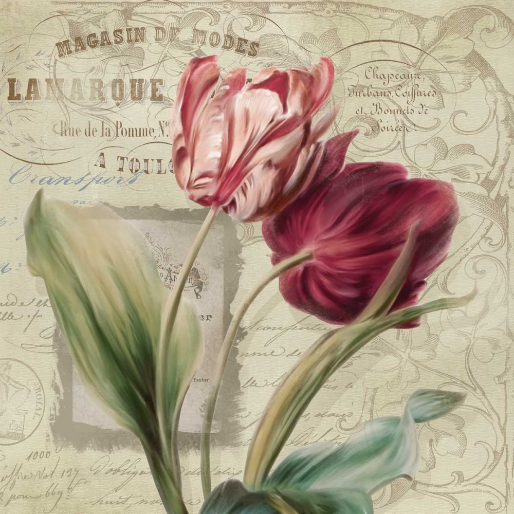 French Tulips I art print by Carol Robinson for $57.95 CAD