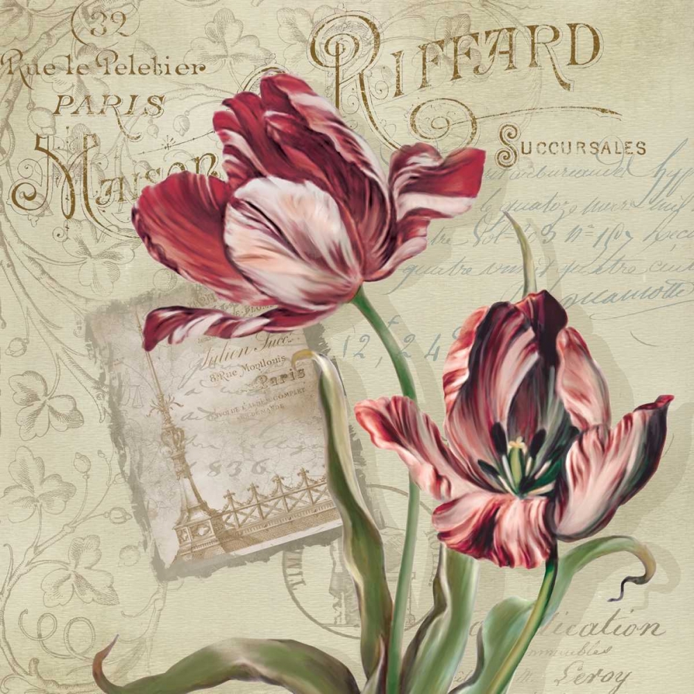French Tulips II art print by Carol Robinson for $57.95 CAD