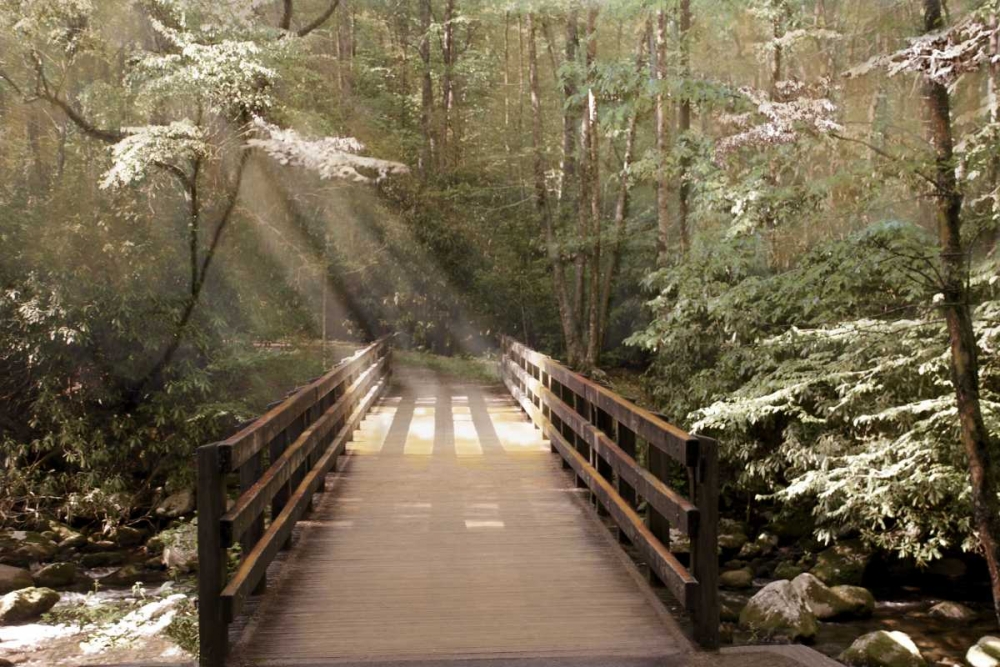 Footbridge art print by Nan for $57.95 CAD