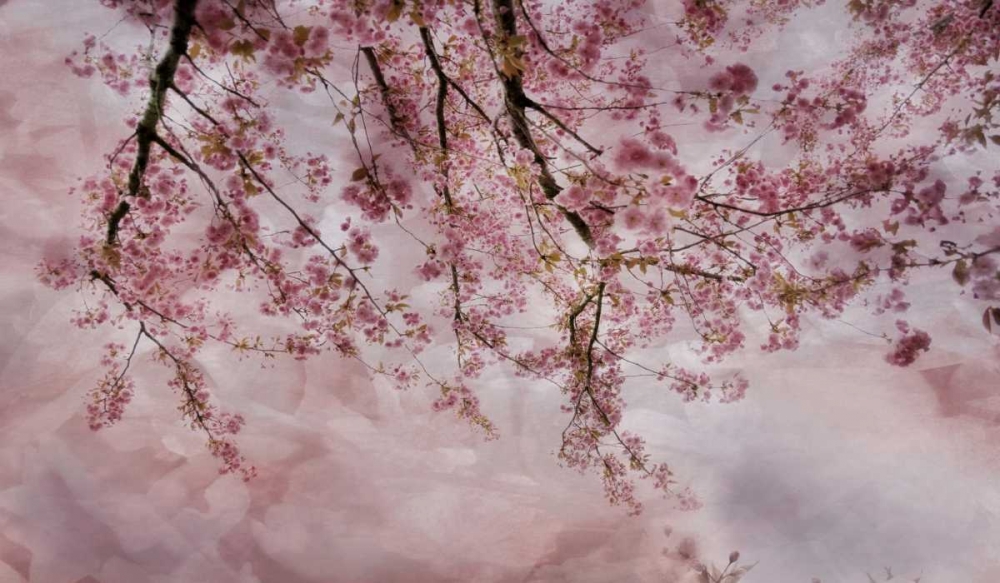 Joy of Spring art print by Irene Weisz for $57.95 CAD