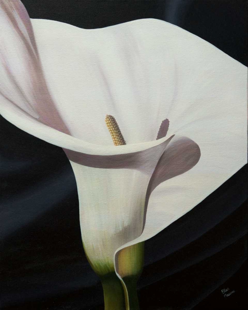 Black Tie Lily art print by Ellen Macoce for $57.95 CAD