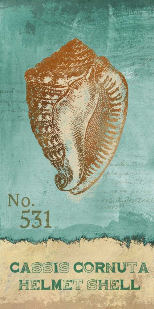 Helmet Shell art print by Conrad Knutsen for $57.95 CAD