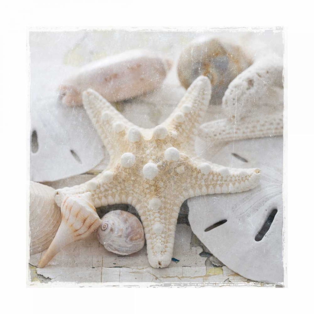 Sanibel I art print by Susan Jackson for $57.95 CAD