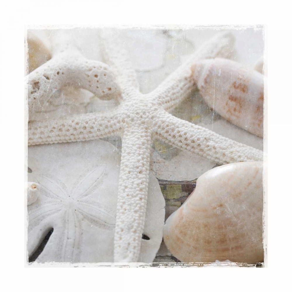 Sanibel II art print by Susan Jackson for $57.95 CAD