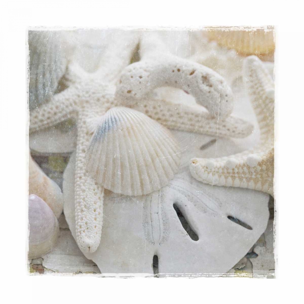 Sanibel III art print by Susan Jackson for $57.95 CAD