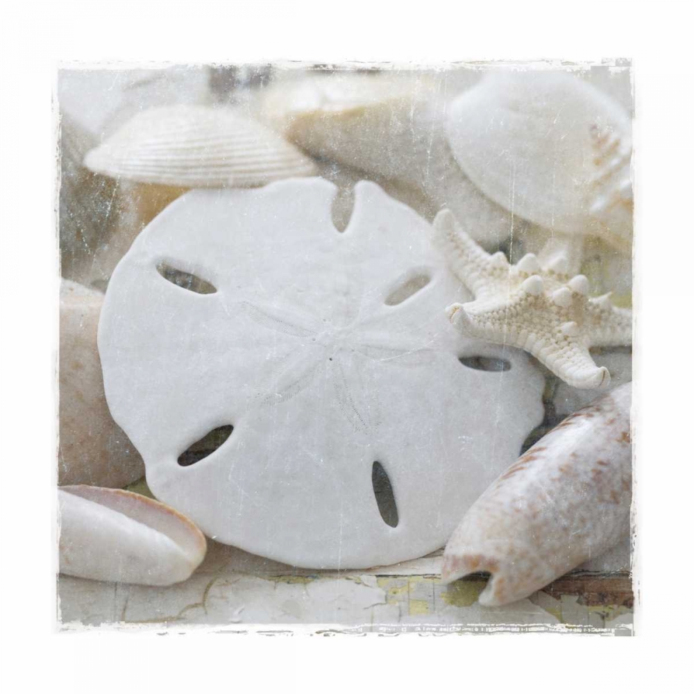 Sanibel IV art print by Susan Jackson for $57.95 CAD